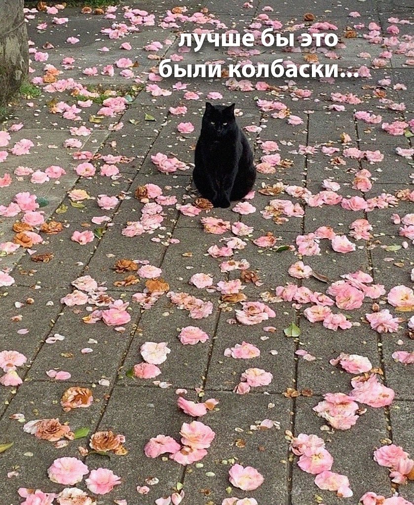 ��������� ��...