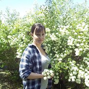 , 42 , 