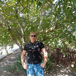 , 34, 