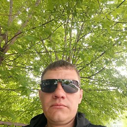 , 34, 