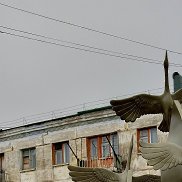 ��������, 50 ���, �����������