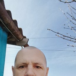 ���������, 42 ����, ���������