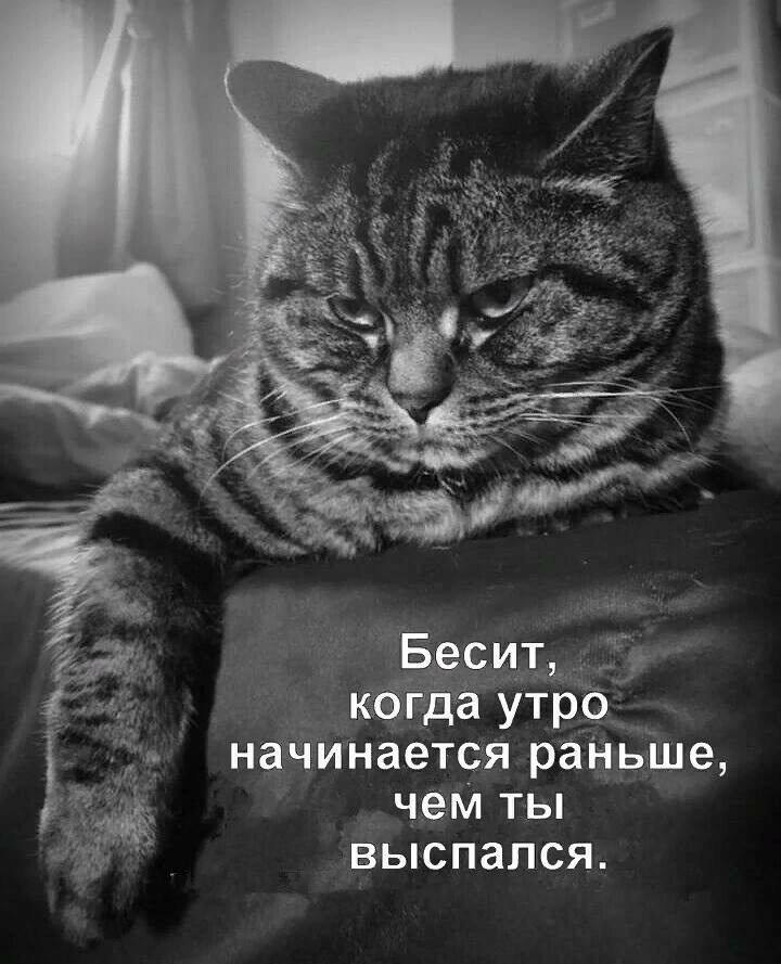   - 24  2025  06:54