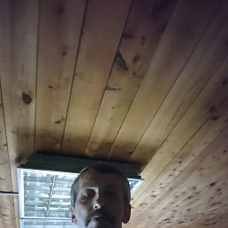 , 53, 