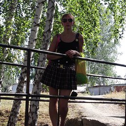 ����, 41 ���, ������