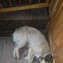 ���� ����, ������-��-����, 67 ��� - ��������� 21 ������� 2023 � ������ ���� ����������