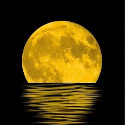 Slava, ������� ��������, 21 ���