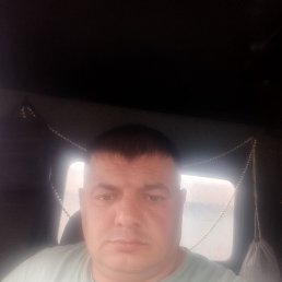 , 43, 