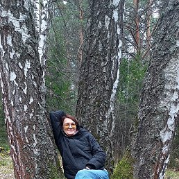 �������, ��������, 56 ���