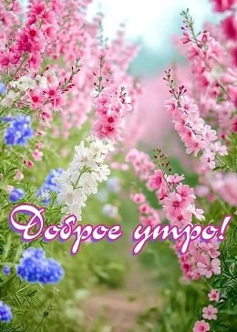 � � ������ ���� - ��� �����, � � ������ ��� - ��� �����������! �����, ������� � �����, � ���������� ...