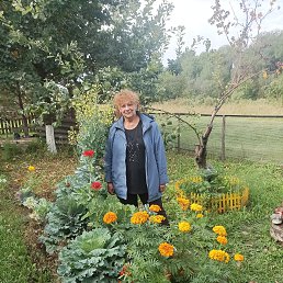 , 59, 