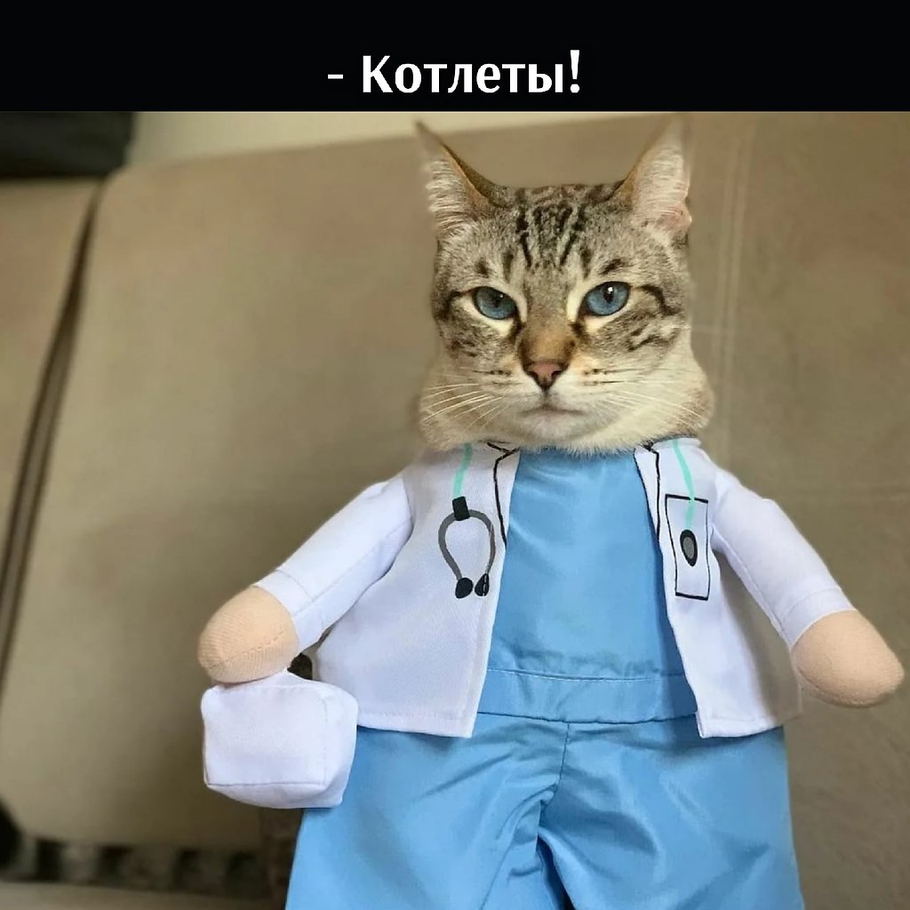 ��� ���� � ����� �� �� - 3 ���� 2026 � 17:02 - 4