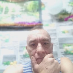 �����, 46 ���, ������