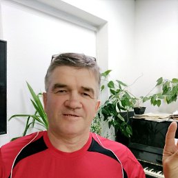 , 56, 