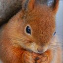 ���� �������, ������, 53 ���� - ��������� 6 ������� 2025 � ������ ���� ����������