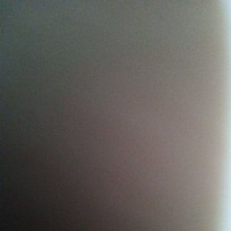 ����, �������, 41 ���