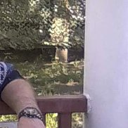 ����, 64 ����, ���������