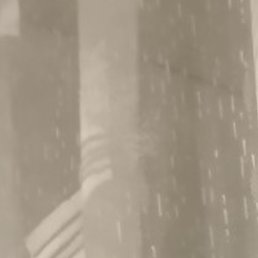 ��������, ������������, 48 ���