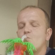 ������ �����, 41 ���, ���������