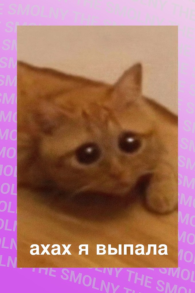 : *-  ,     *.   ...