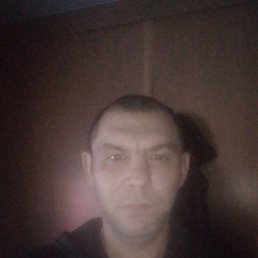 ��������, 41 ���, ������