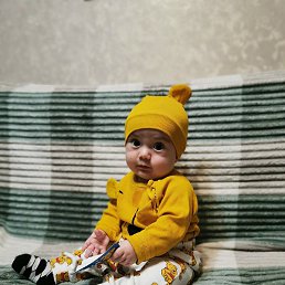 ������, ������, 61 ���