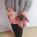 ���� ���, ������ ��������, 44 ���� - ��������� 23 ����� 2026