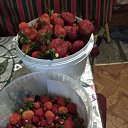 ���� ���� � �������� �� ���������� ..., ����� - ��������� 21 ���� 2025 � ������ ���� ����������