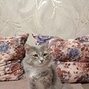 ���� �������, ������������, 45 ��� - ��������� 1 ������� 2025