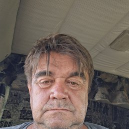 , 54, 