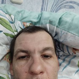 ����, 41 ���, �������