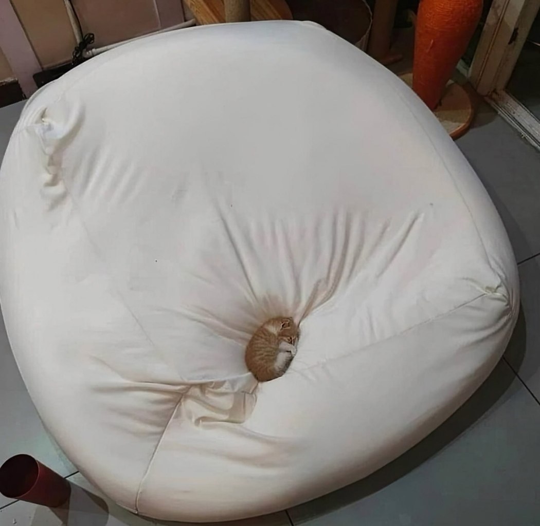    ?