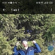 ������� �������, 41 ���, ������