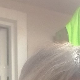 �����, ������, 40 ���