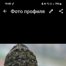 ���� �������, �������, 58 ��� - ��������� 14 ���� 2026