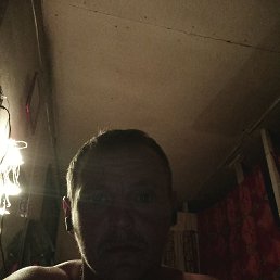 , 37, 