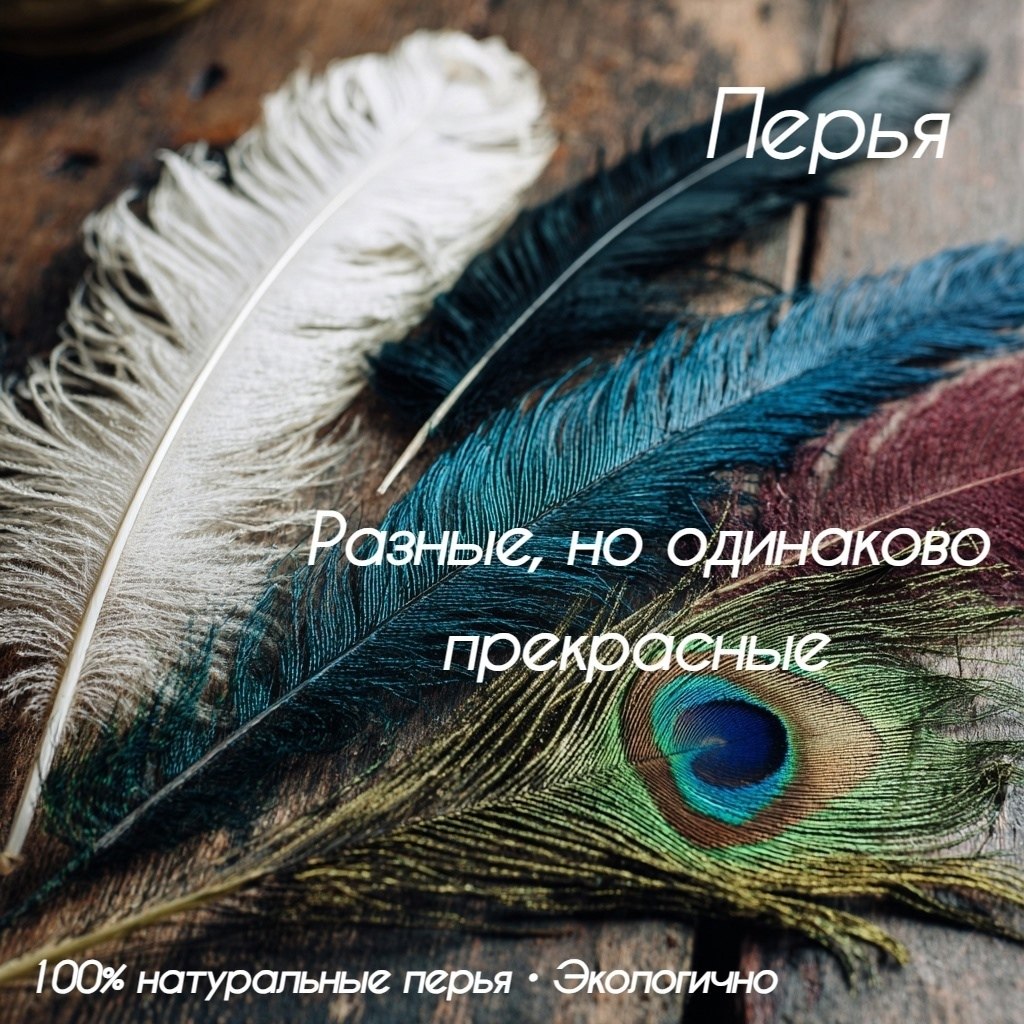 ,      ,  , ,   !  ,   ...