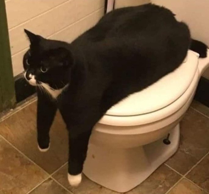  ,   )))