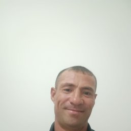  , 41, 