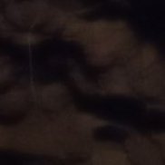 , 19 , 