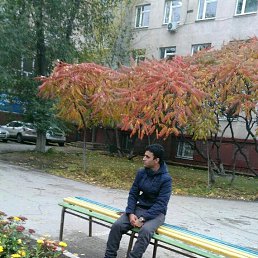  , 38, 