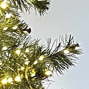 �����, 38 ���, �������