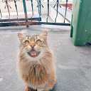 ���� Onur, �������, 39 ��� - ��������� 3 ���� 2025 � ������ ������ ��������