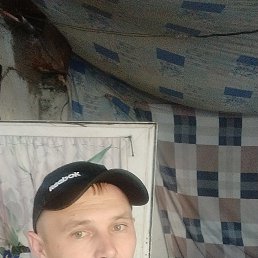 ���� ��������, ������, 32 ���� - ��������� 12 ������� 2024