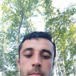 , 37, 