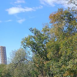 �����, ������, 60 ���