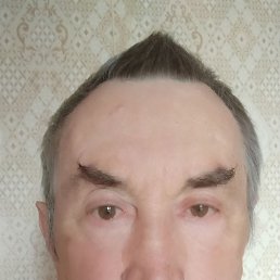 , 65, 