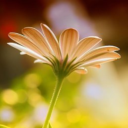 ����, ������, 48 ���