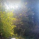 ���� �����, ������, 66 ��� - ��������� 5 ������� 2023 � ������ ���� ����������