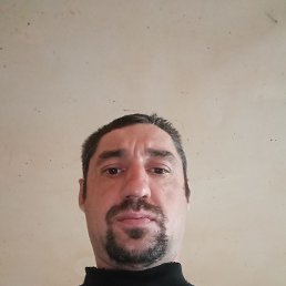 �����, 38 ���, ���������